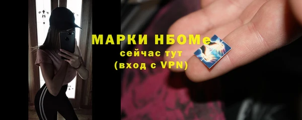 дживик Бородино
