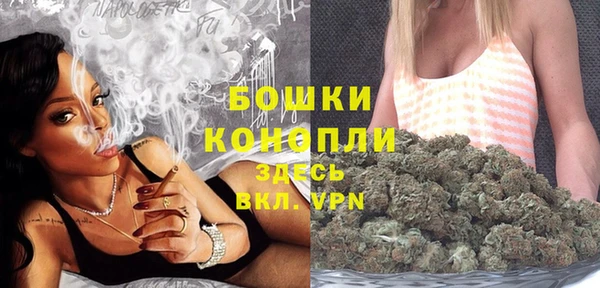 PSILOCYBIN Бронницы