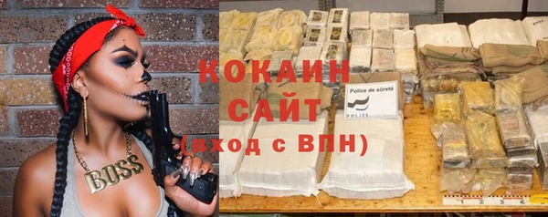 дживик Бородино