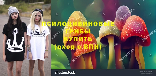 дживик Вязники