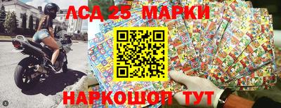 СК Волгодонск