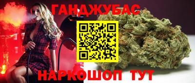 СК Волгодонск