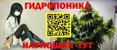 стаф Волжск