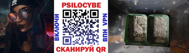 закладка mega Галлюциногенные грибы Cubensis Вязники