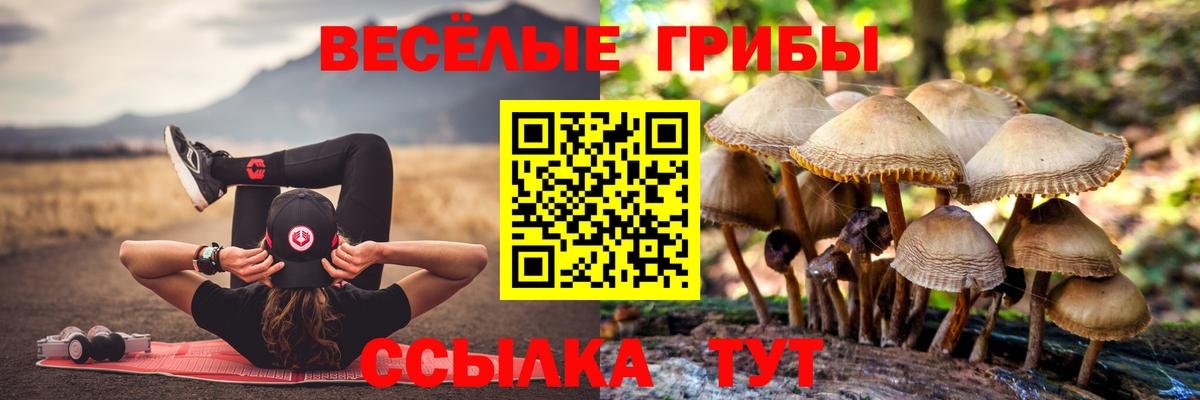 Псилоцибиновые грибы Magic Shrooms Вязники