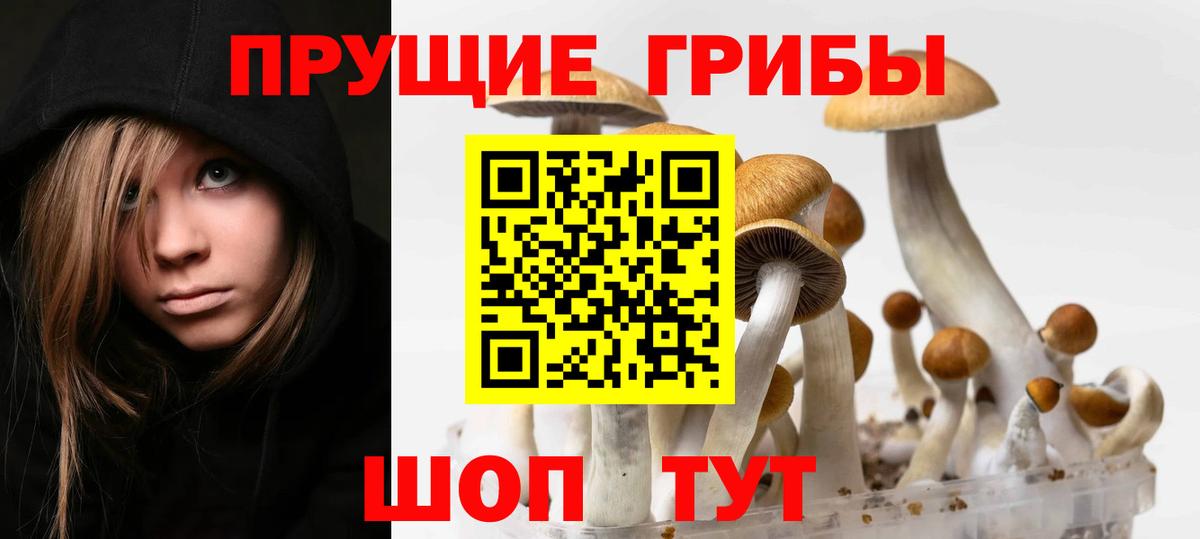 Вязники  Галлюциногенные грибы мухоморы  Вход с VPN 